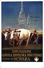 NOVARA CITTÀ - DUDOVICH - Esposizione Agricola Zootecina Industriale - VG -SP406