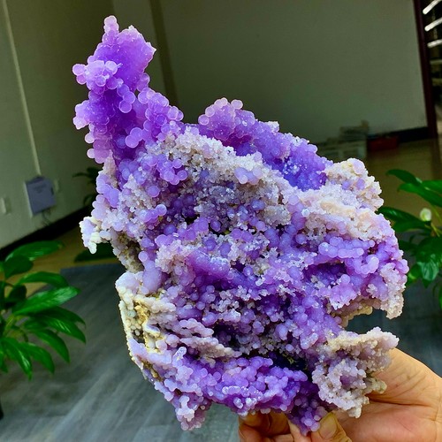 Agata uva viola - agata, d'uva