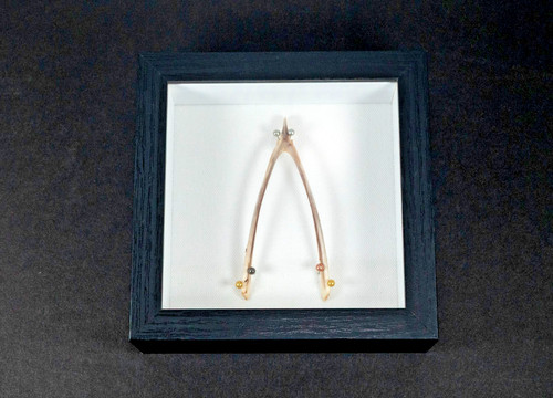 Wishbone perfetto - il,