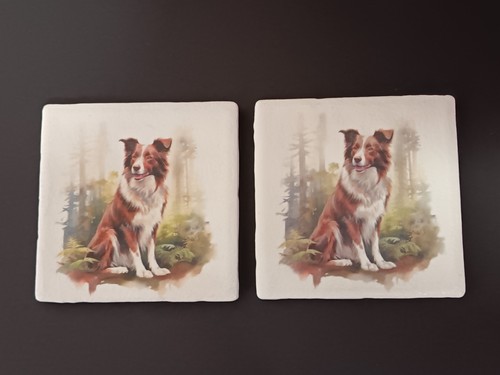 Sottobicchieri collie bordo - 2,