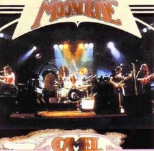 CD CAMMELLO / ALRISE DELLA