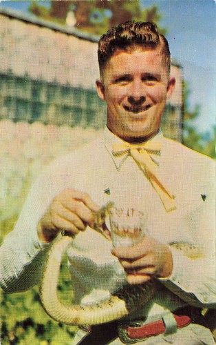 Cartolina tom simpson - cartolina,