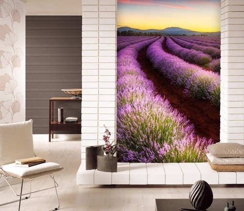 Carta parati lavender - parati,