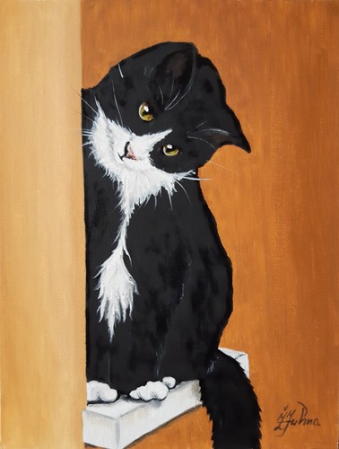 Quadro gatto bianco nero - bianco, e