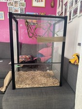 teca in vetro per rettili 