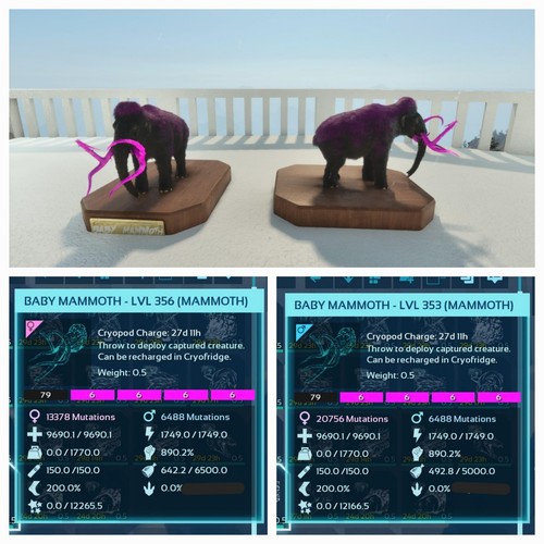 Ark ascended pve - pve, coppia