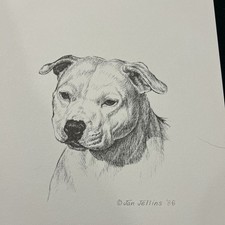 Staffordshire Bull Terrier