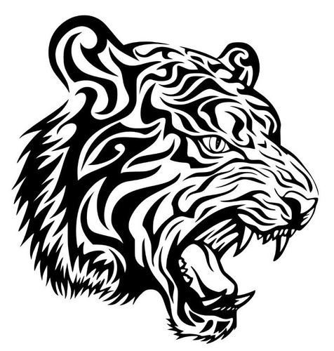 Tigre stikers adesivo - tigre, stikers-adesivo