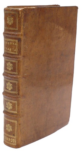 Lovely copy genera - lovely,