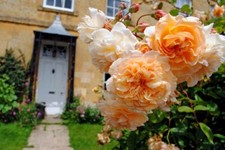 Fotografia Blockley Village