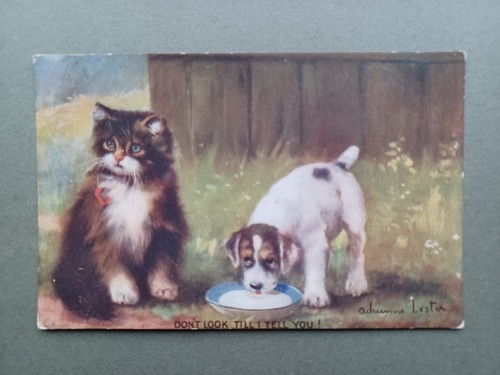 C1910s fox terrier dog - fox,
