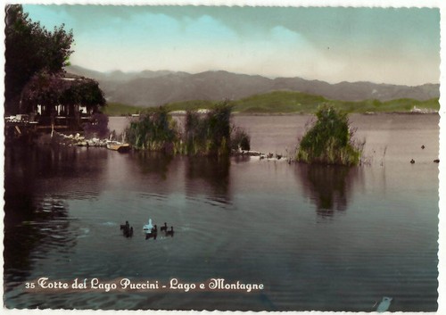 Torre del lago puccini - torre,