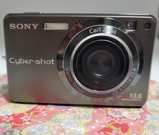 Fotocamera grigia Sony Cyber-shot DSC-W300 13,6 megapixel fotocamera digitale buone condizioni
