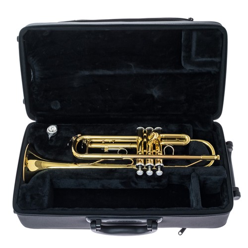 Tromba yamaha nuova - nuova, 3335