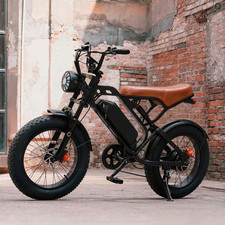16'' Fat Tire Electric Bike