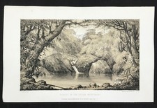 Organo Montagne Foresta Nuovo