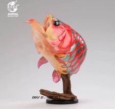 Animal Planet Animal Heavenly Body Statue Laishi bony tongue fish Plus Toys New