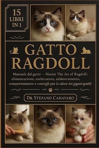 Gatto ragdoll manuale - gatto, ragdoll: