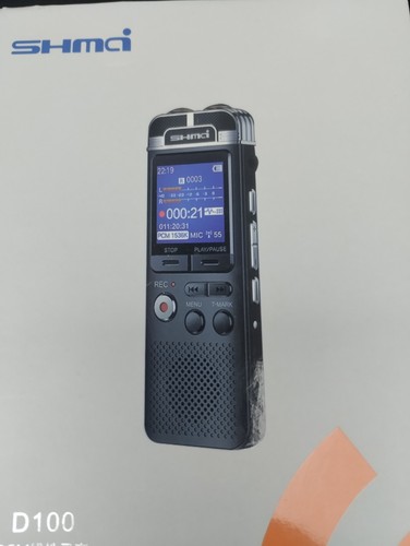 D100 professional dittafono - professional,