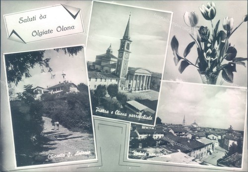 C566 cartolina provincia di - c566,