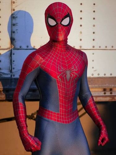 The amazing spider - the,