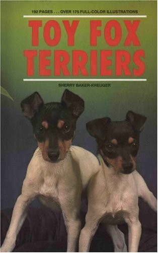 Toy fox terriers - toy, sherry