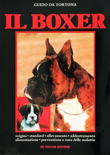 Boxer origini allevamento - il,