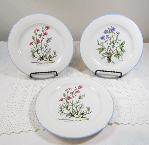 Set insalatiere ceramiche - set,