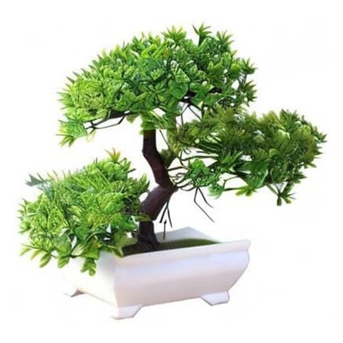 Bonsai artificiale cedro - artificiale, di