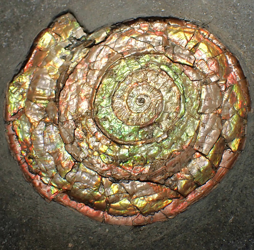 Big complete iridescent