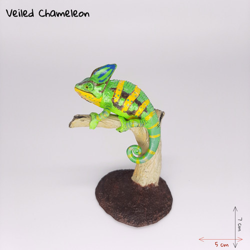 Colorata reptiles veiled - reptiles,,