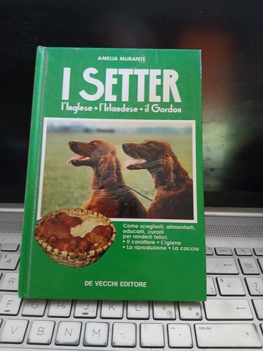 Setter inglese l irlandese - l'inglese, l'irlandese
