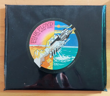 Pink Floyd, Wish you were