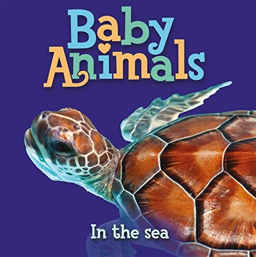Baby animals the sea - baby,
