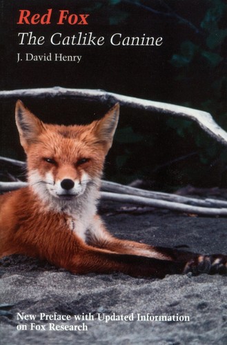 Red fox the - the, canine