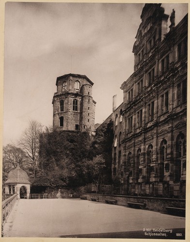 Heidelberger schlossaltan - heidelberger,