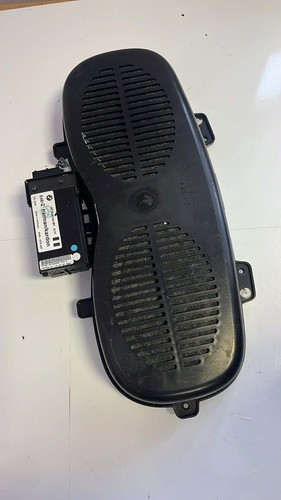 Altoparlante subwoofer ponte