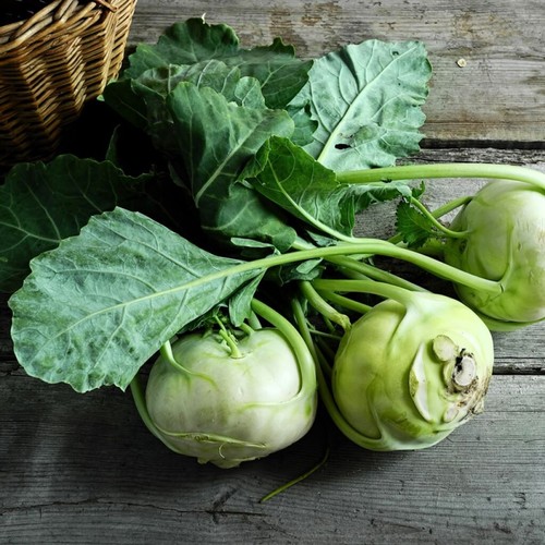 Lot white turnip seeds - white,