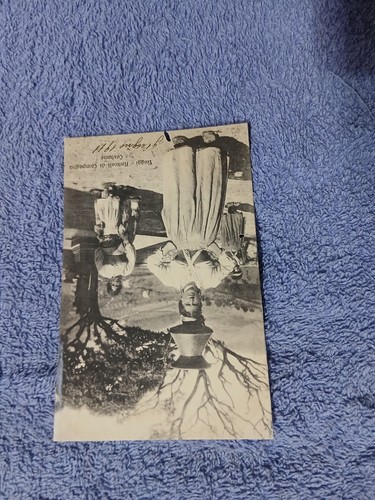 Cartolina fiuggi costumi - cartolina,