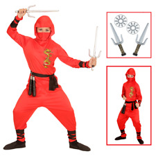 VESTITO CARNEVALE + ACCESSORI