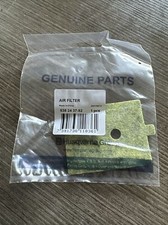 Filtro Aria Decespugliatore