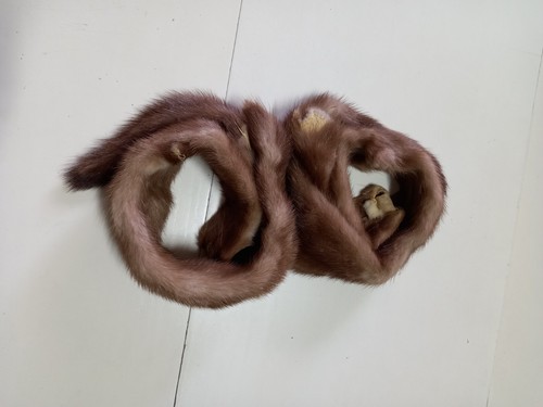 Coppia pelliccie visone - coppia,