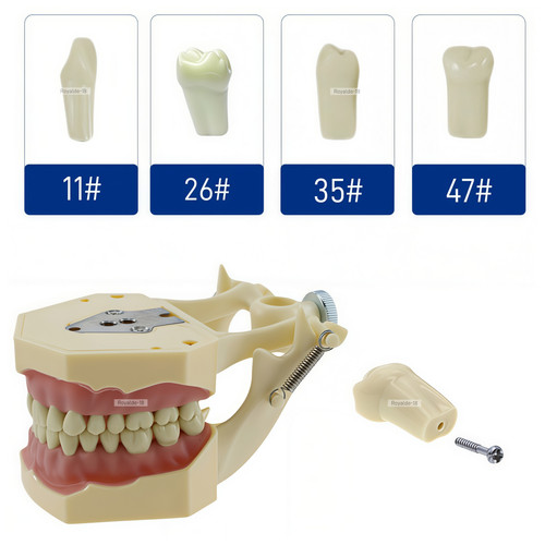 Frasaco ag3 tipo dentale - tipo,
