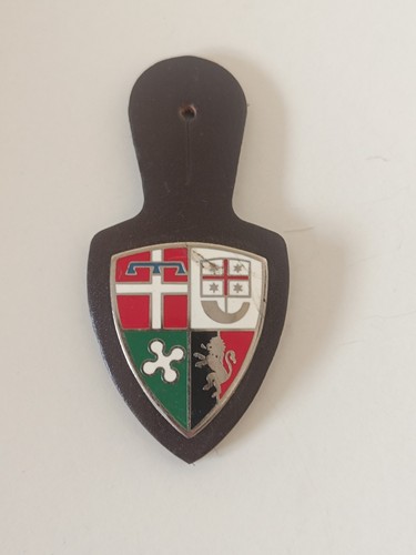 Scudetto fregio battipetto
