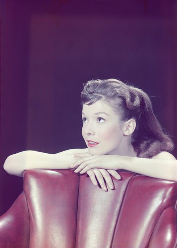 Kf13 889 attrice zeme north - attrice,