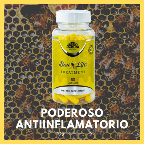 Bee life premium - bee,