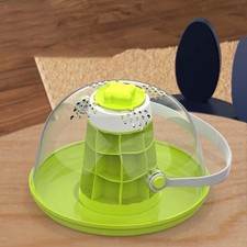 Lumache terrari scatola - lumache,