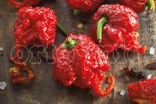3 PIANTE DI PEPERONCINO