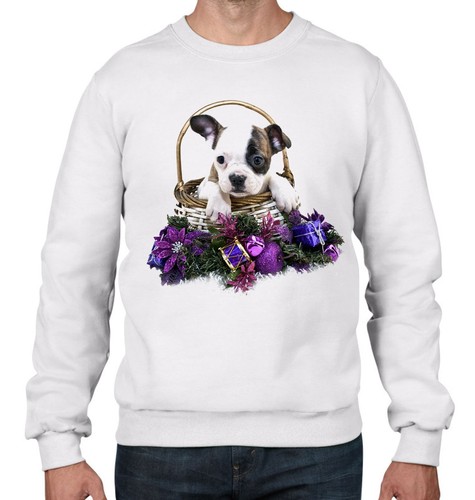 Natale bulldog francese - natale,