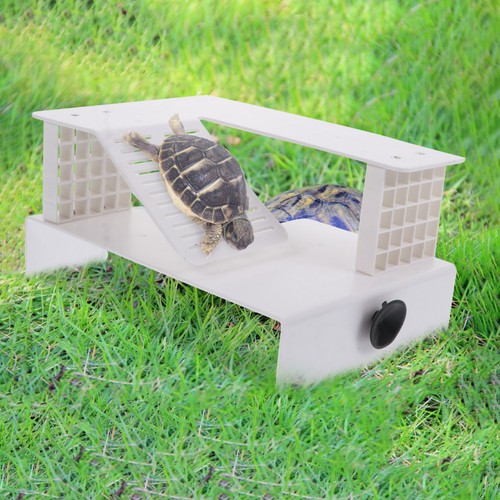 Piattaforma basking rettile